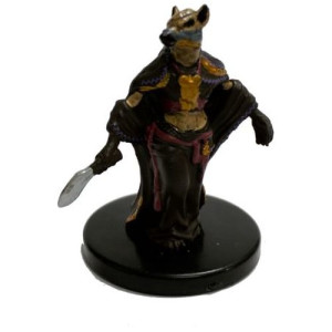 Gnoll Spellcaster
