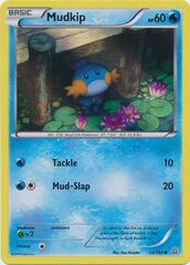 Mudkip - 33/160 - Sheen Holo Collector Chest Exclusive