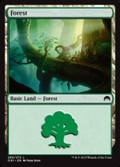 Forest (269) - Foil