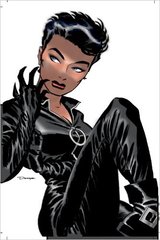 DC Catwoman Vol. 1: Trail of the Catwoman TP