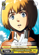 Confusion Armin - AOT/S35-E024 - C