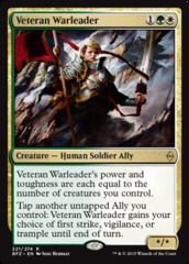 Veteran Warleader - Foil