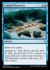 Coastal Discovery - Foil