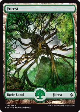 Forest (273) - Full Art