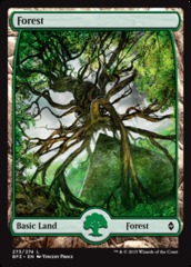 Forest (273) - Foil - Full Art