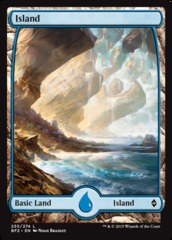 Island (255) - Foil - Full Art