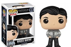 Heroes Series - #77 - Bruce Wayne