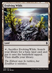 Evolving Wilds - Foil