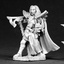 02581 King of the High Elves