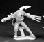 Lurg, Half Orc Assassin