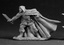 Torin, Male Thief