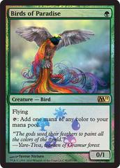 Birds of Paradise - Box Promo