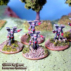 Clan Elemental Infantry (30)