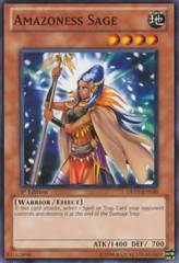 Amazoness Sage - DREV-EN030 - Common - 1st Edition