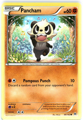 Pancham - 86/162 - Common