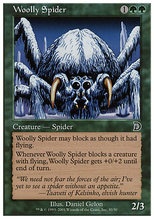 Woolly Spider