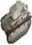 Panzer III Ausf. F