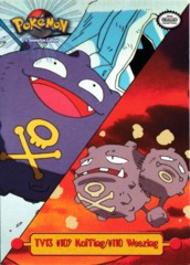 Koffing/Weeking - TV13