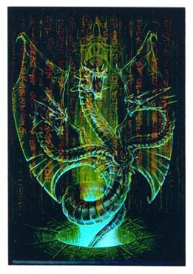 Max Protection Matrix Dragon Small Sleeves