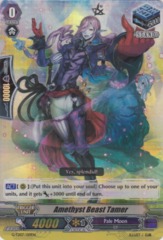 Amethyst Beast Tamer - G-TD07/019EN - RRR