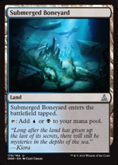 Submerged Boneyard - Foil