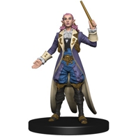 HALF-ELF ENCHANTER