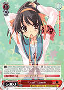 Usual Haruhi - SY/W08-E056 - R