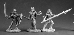 DHL Classics: Dark Elves  03516