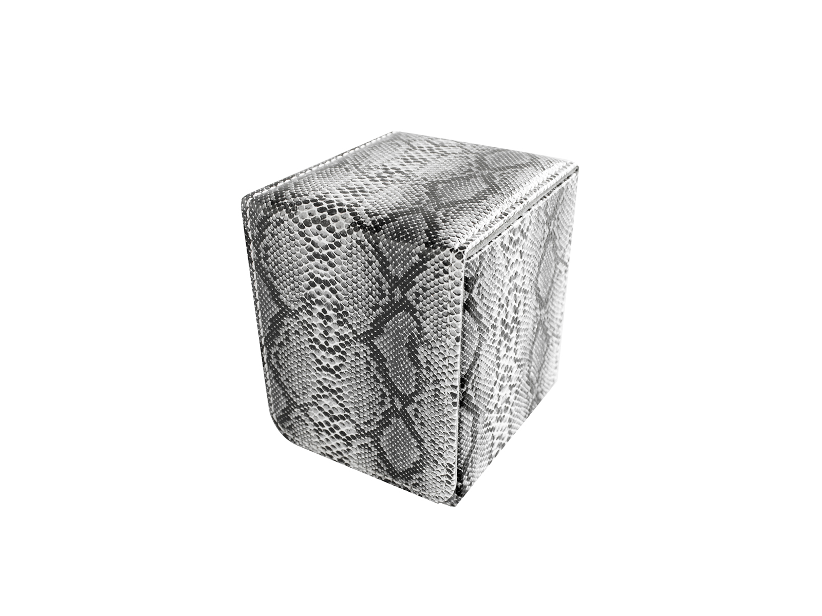 Safari- Python (small)