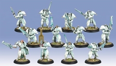 Dawnguard Sentinels  (Plastic)