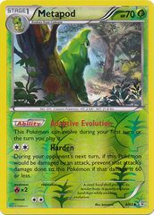 Metapod - 4/83 - Uncommon - Reverse Holo