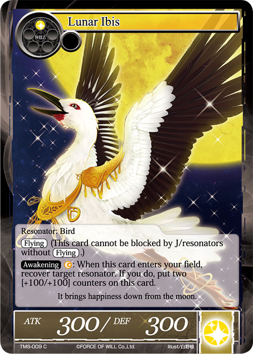 Lunar Ibis - TMS-009 - C