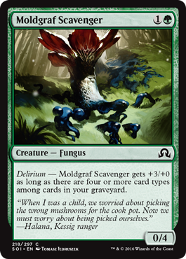 Moldgraf Scavenger