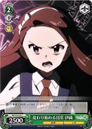 IM/S30-045 C Iori Daily Life Slowing Changing