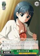 SAO/S26-026 R Suguha Changing