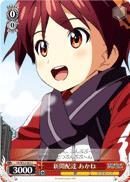 VR/W22-065 C Akane Newspaper Delivery