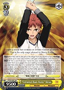 Unlimited Blade Works Shirou - FS/S36-E003 - RR