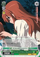 Encounter with Mikuru, Mikuru(Adult) - SY/WE09-E07 - R