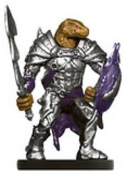 Dragonborn Paladin of Bahamut