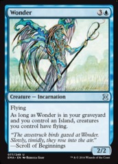 Wonder - Foil