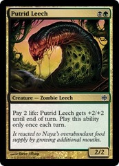 Putrid Leech