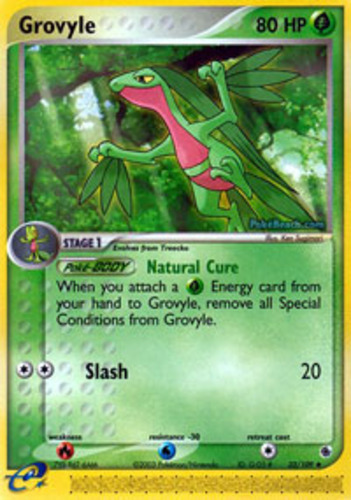 Grovyle_1767