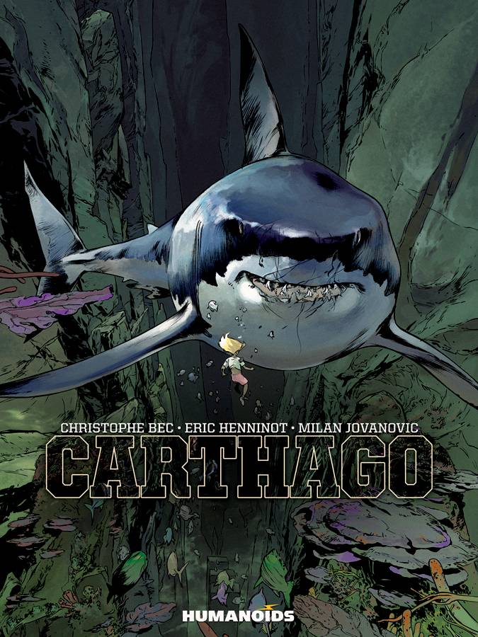 Carthago Hc (Mr)