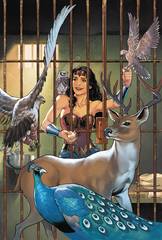 Wonder Woman #6