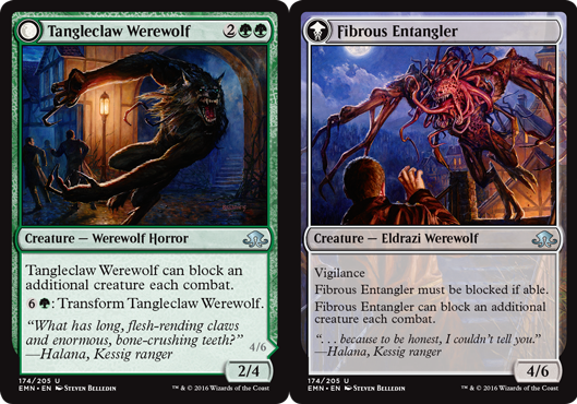 Tangleclaw Werewolf // Fibrous Entangler - Foil