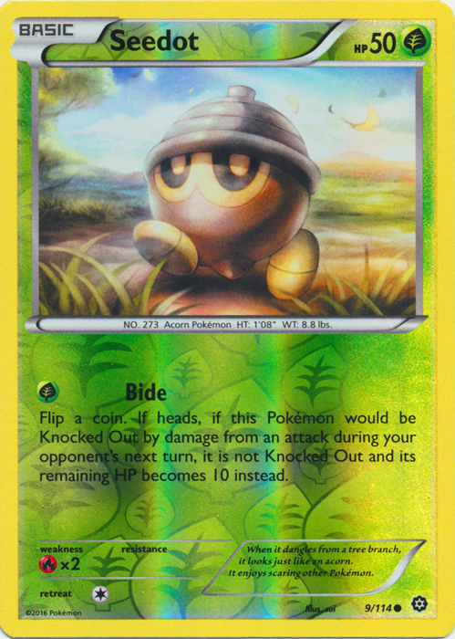 Seedot - 9/114 - Common - Reverse Holo