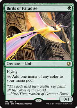 Birds of Paradise - Foil