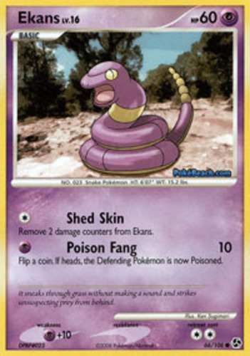 Ekans_4188