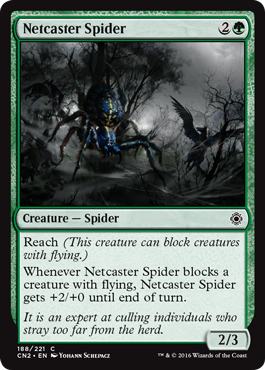 Netcaster Spider