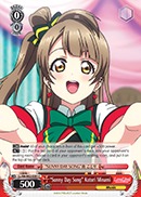 Sunny Day Song Kotori Minami - LL/EN-W02-E091 - C